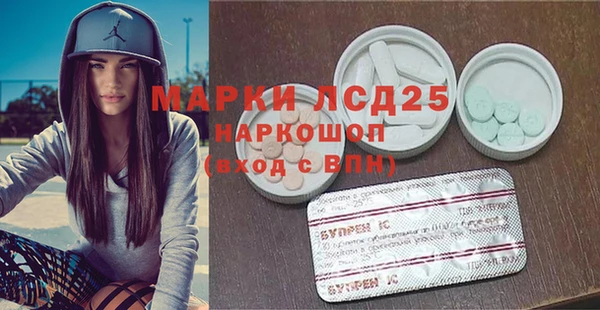 шишки Наволоки
