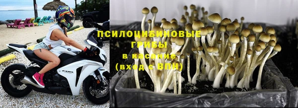 шишки Наволоки